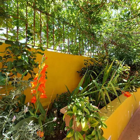 Casa Maestro Lelo - Acogedora Canaria Con Patios Y Jardines De Flores Las Palmas