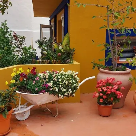 Casa Maestro Lelo – Acogedora Canaria Con Patios Y Jardines De Flores Сasa de vacaciones *
